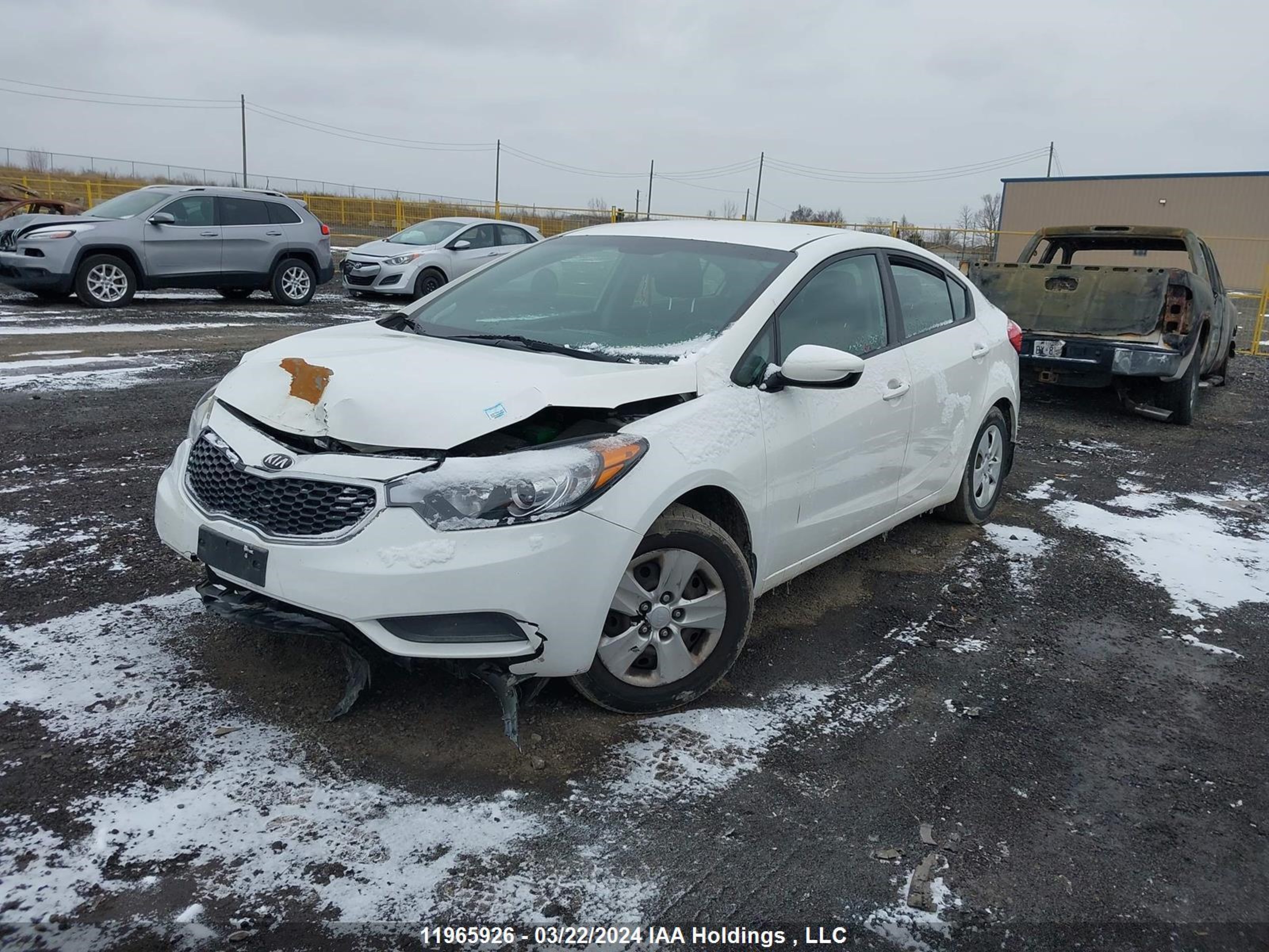 Photo 1 VIN: KNAFK4A63E5248927 - KIA FORTE 