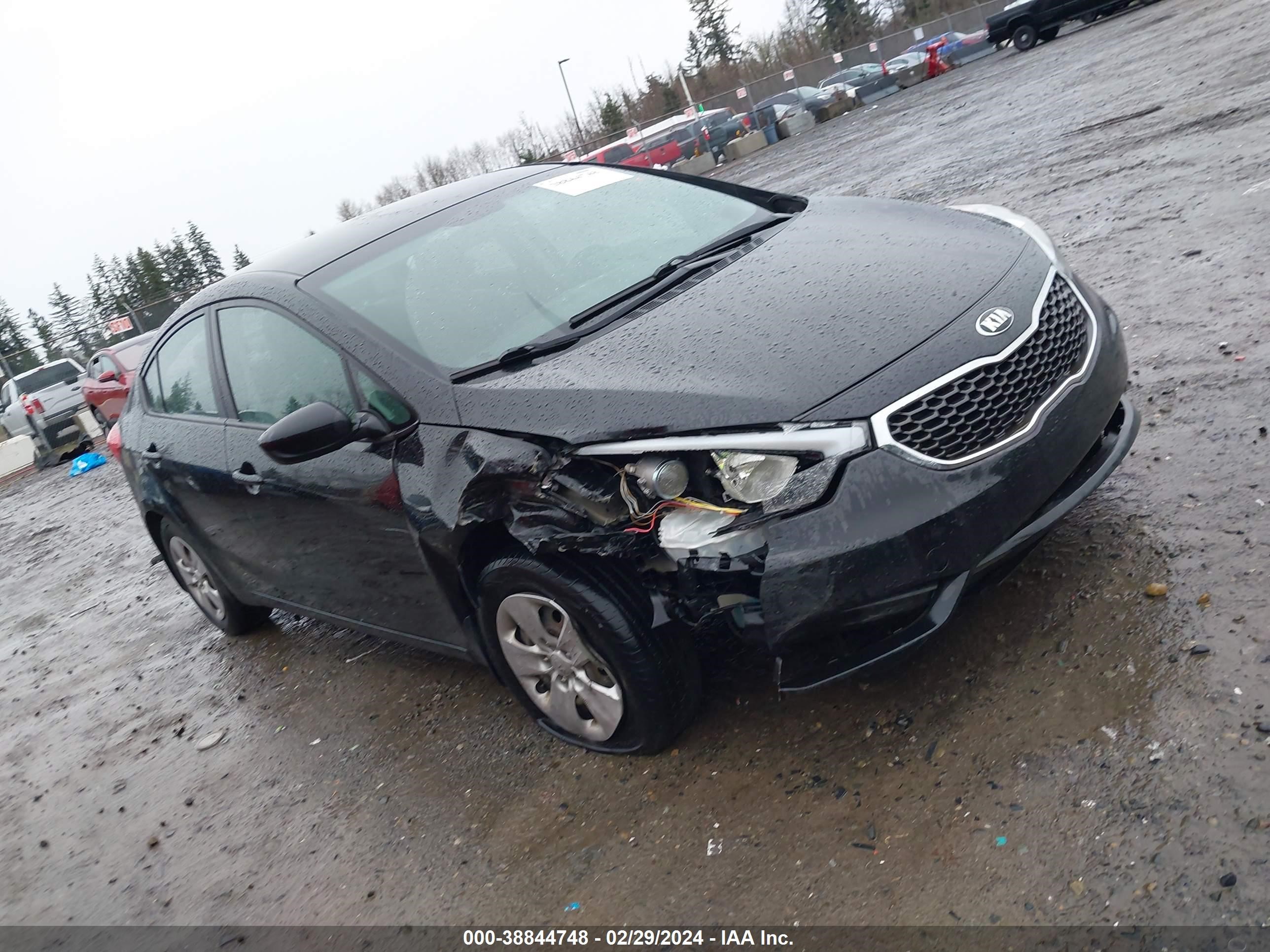 Photo 0 VIN: KNAFK4A63F5299619 - KIA FORTE 