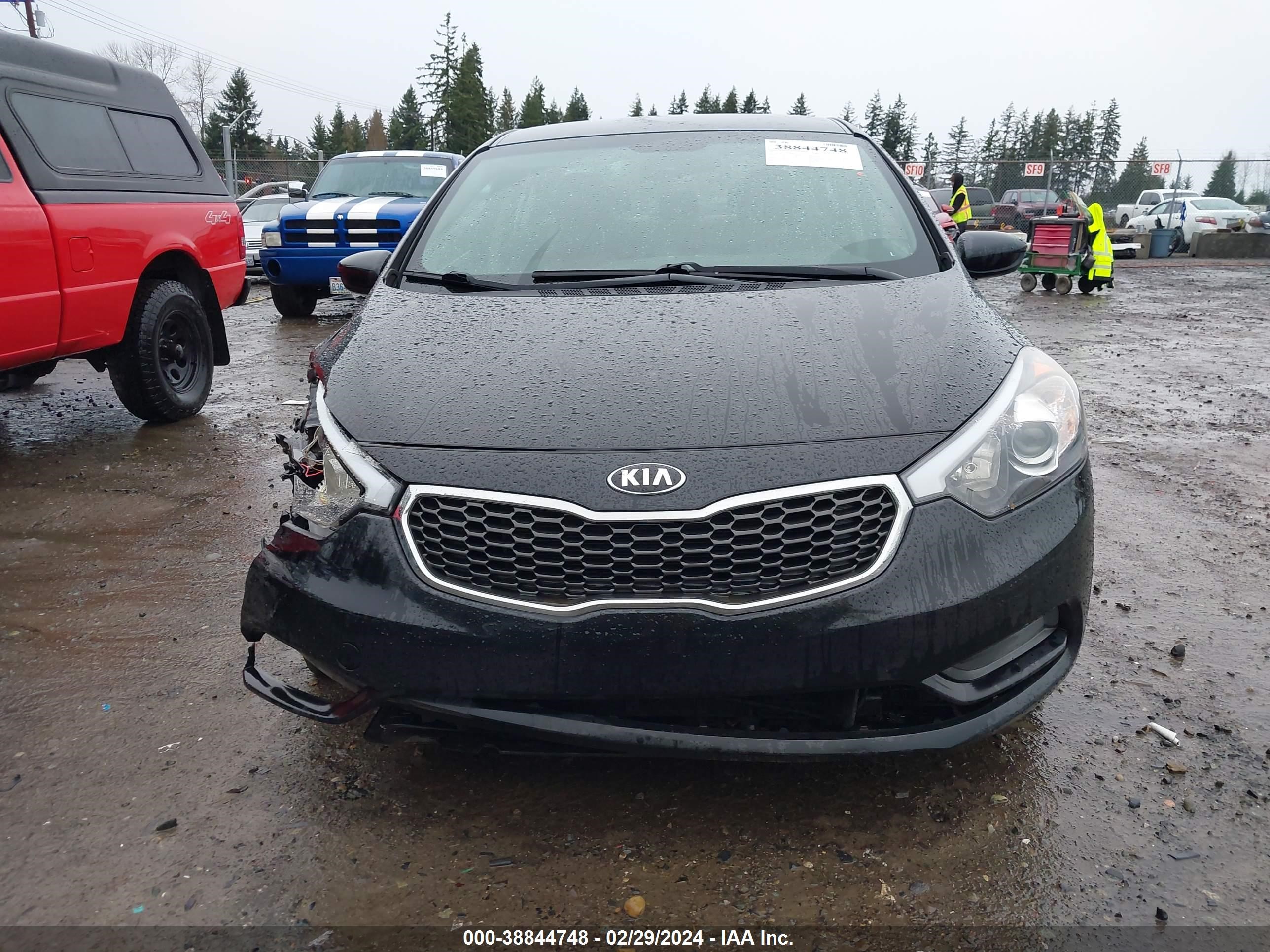 Photo 12 VIN: KNAFK4A63F5299619 - KIA FORTE 