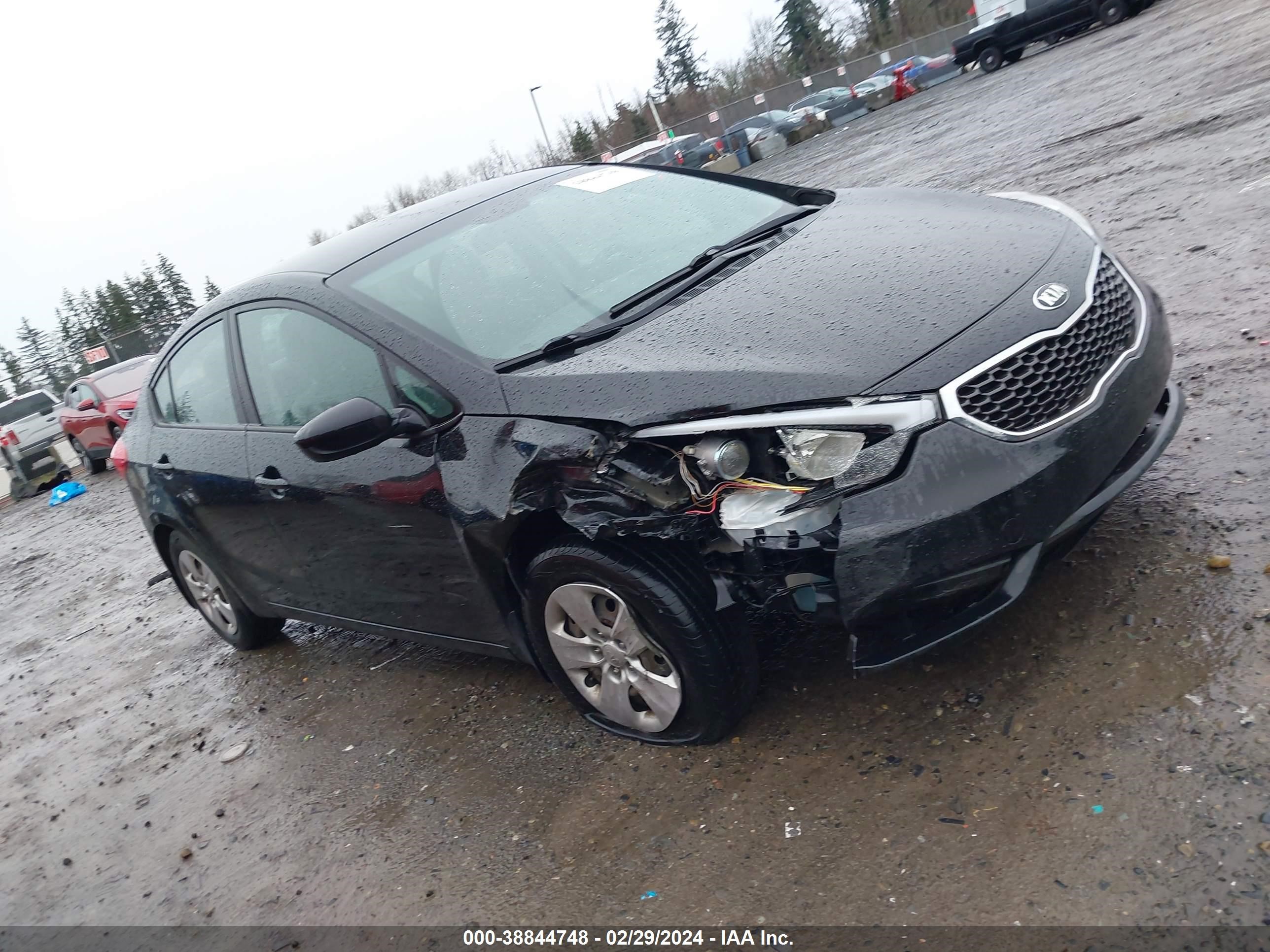 Photo 13 VIN: KNAFK4A63F5299619 - KIA FORTE 