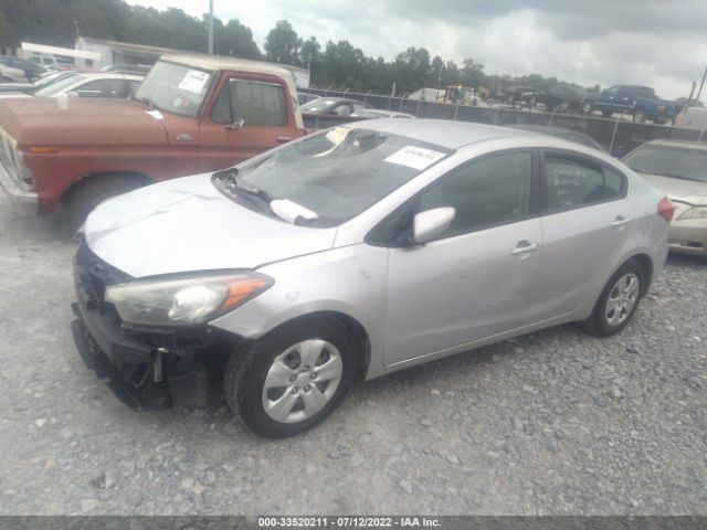 Photo 1 VIN: KNAFK4A63F5393368 - KIA FORTE 