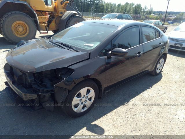 Photo 1 VIN: KNAFK4A63F5428684 - KIA FORTE 