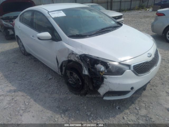 Photo 5 VIN: KNAFK4A63G5469124 - KIA FORTE 