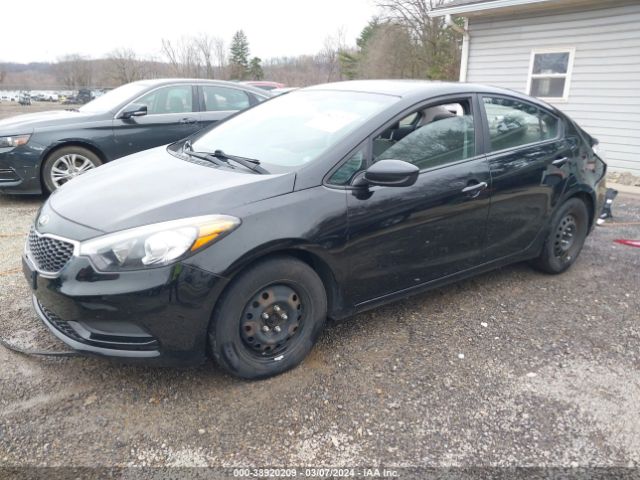 Photo 1 VIN: KNAFK4A63G5575217 - KIA FORTE 