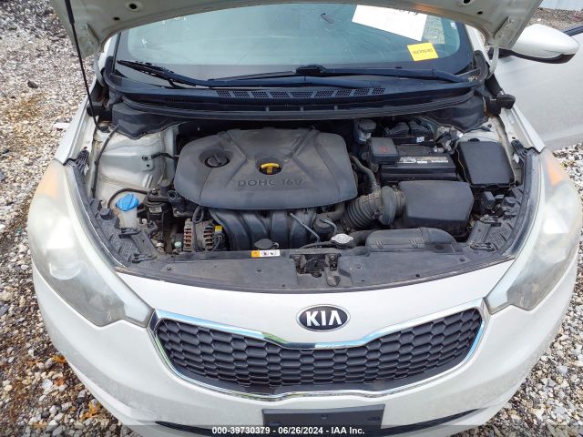 Photo 9 VIN: KNAFK4A64E5092607 - KIA FORTE 