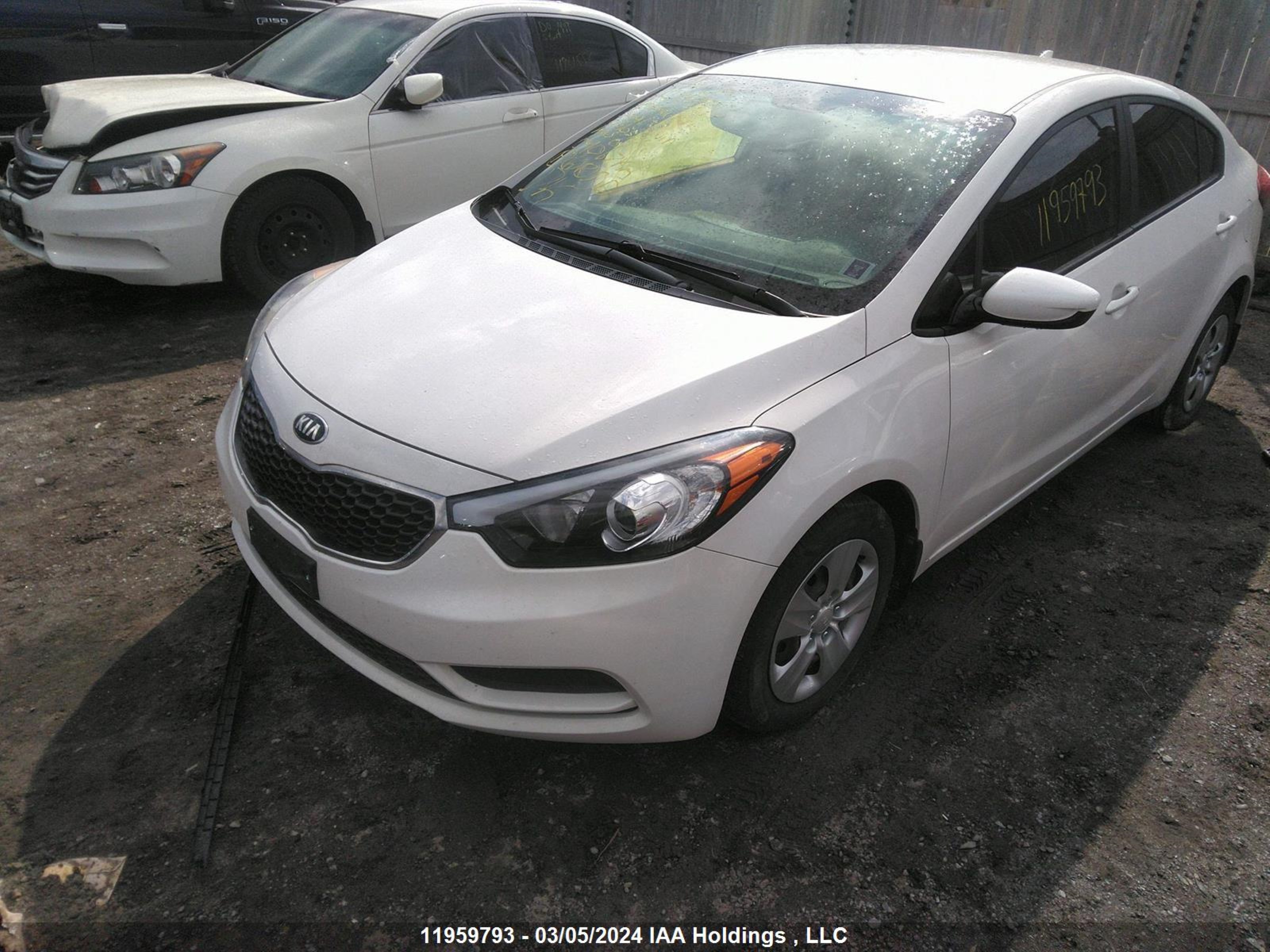 Photo 1 VIN: KNAFK4A64G5509632 - KIA FORTE 