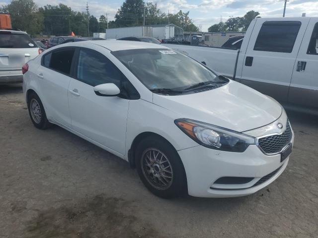 Photo 3 VIN: KNAFK4A64G5591295 - KIA FORTE LX 