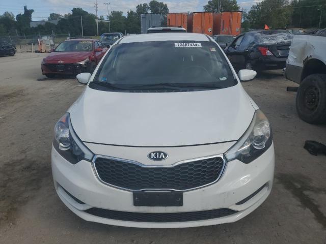 Photo 4 VIN: KNAFK4A64G5591295 - KIA FORTE LX 