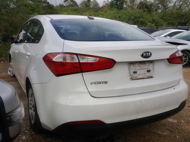 Photo 2 VIN: KNAFK4A64G5595685 - KIA FORTE LX 