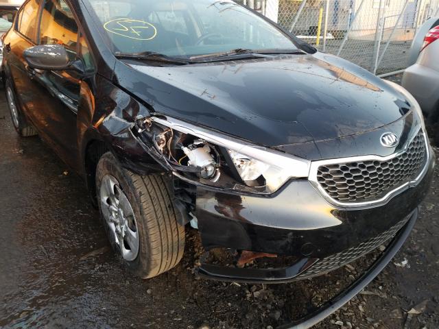 Photo 8 VIN: KNAFK4A65E5131348 - KIA FORTE LX 