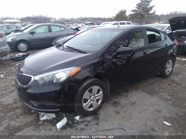 Photo 1 VIN: KNAFK4A65E5170649 - KIA FORTE 