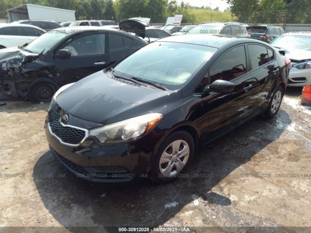 Photo 1 VIN: KNAFK4A65F5293174 - KIA FORTE 