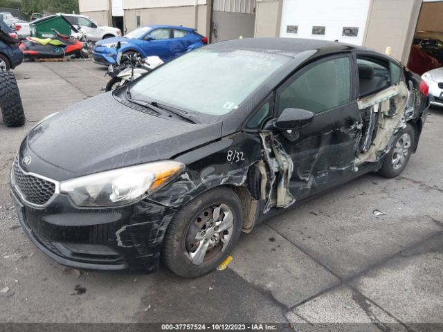 Photo 1 VIN: KNAFK4A65F5307025 - KIA FORTE 