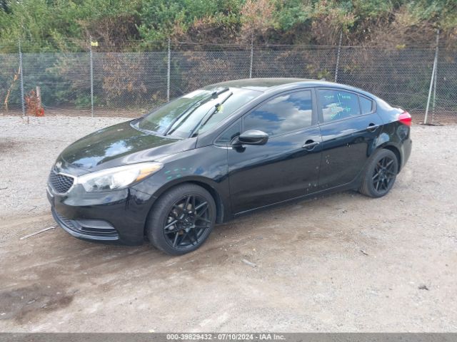 Photo 1 VIN: KNAFK4A65F5307042 - KIA FORTE 