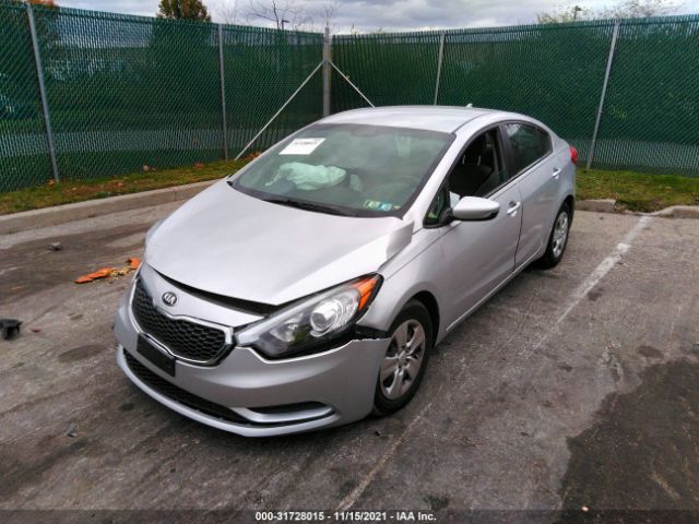 Photo 1 VIN: KNAFK4A65F5412230 - KIA FORTE 