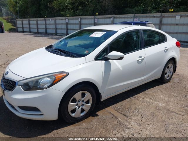 Photo 1 VIN: KNAFK4A65G5458917 - KIA FORTE 