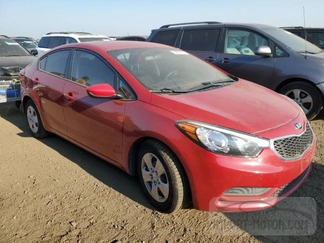 Photo 3 VIN: KNAFK4A65G5496387 - KIA FORTE 