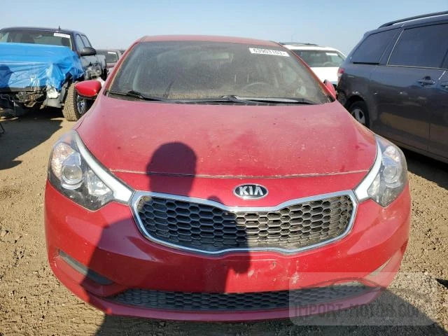 Photo 4 VIN: KNAFK4A65G5496387 - KIA FORTE 