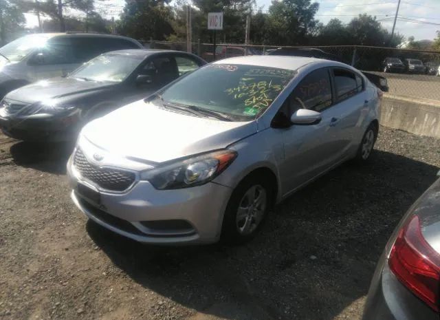 Photo 1 VIN: KNAFK4A65G5499709 - KIA FORTE 