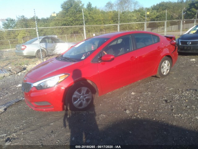 Photo 1 VIN: KNAFK4A65G5568933 - KIA FORTE 