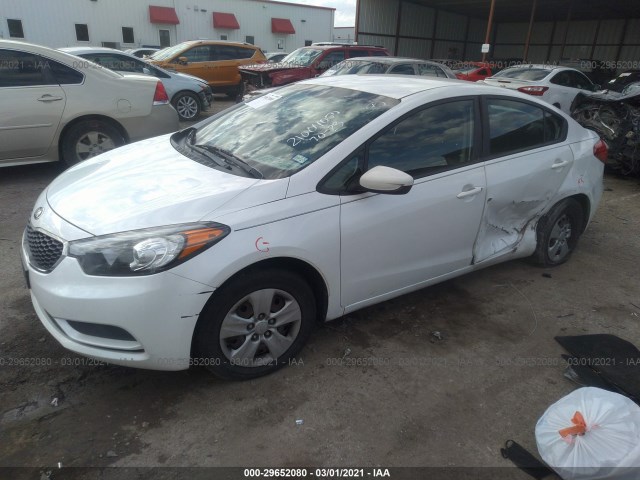 Photo 1 VIN: KNAFK4A66E5067692 - KIA FORTE 