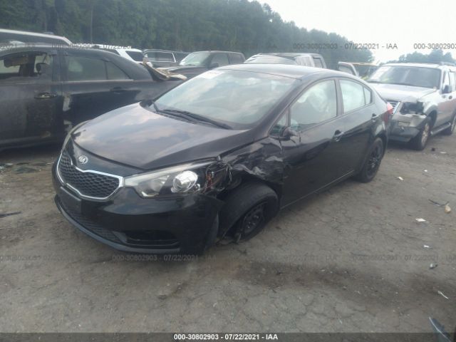 Photo 1 VIN: KNAFK4A66F5295354 - KIA FORTE 