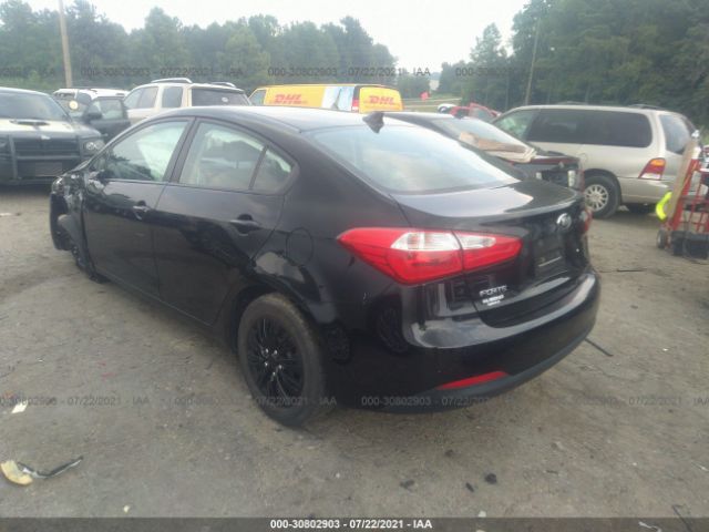 Photo 2 VIN: KNAFK4A66F5295354 - KIA FORTE 