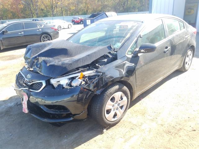 Photo 1 VIN: KNAFK4A66F5330202 - KIA FORTE LX 