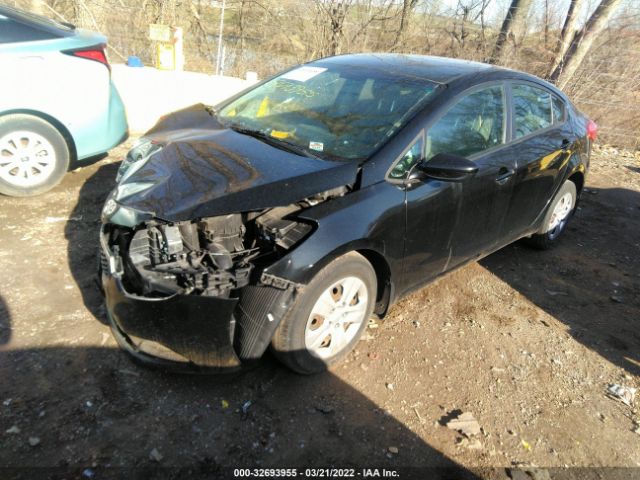 Photo 1 VIN: KNAFK4A66F5372773 - KIA FORTE 