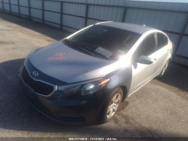 Photo 1 VIN: KNAFK4A66F5420305 - KIA FORTE 