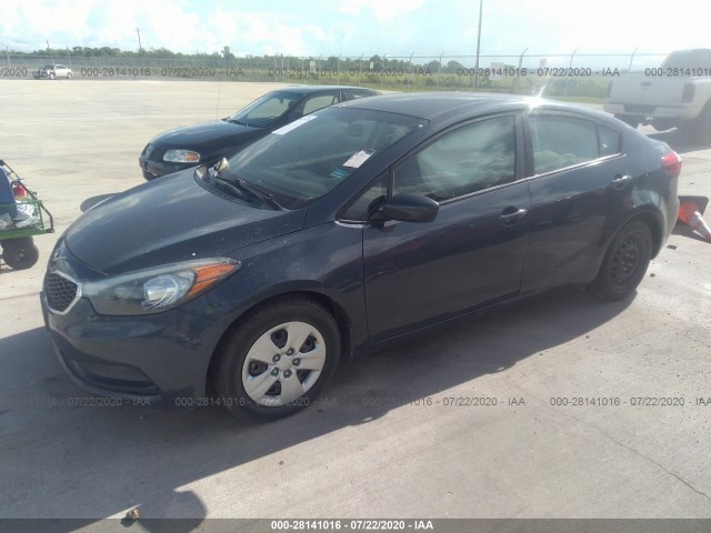 Photo 1 VIN: KNAFK4A66G5445528 - KIA FORTE 