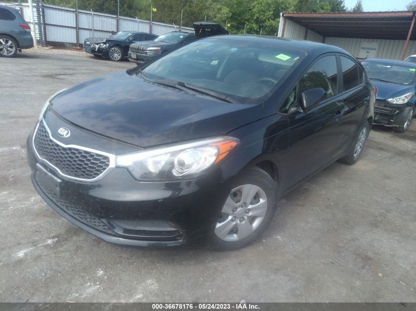 Photo 1 VIN: KNAFK4A66G5509678 - KIA FORTE 