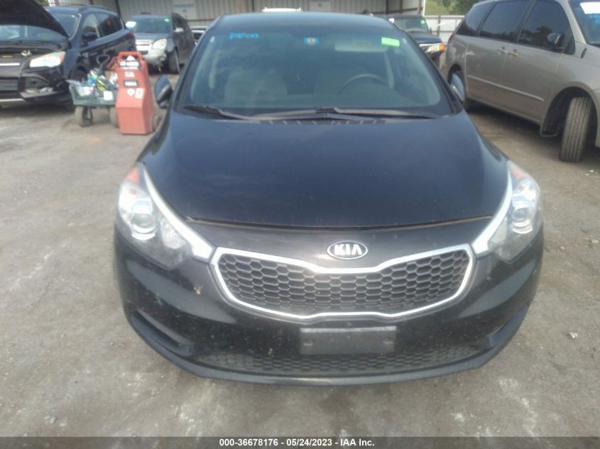 Photo 5 VIN: KNAFK4A66G5509678 - KIA FORTE 