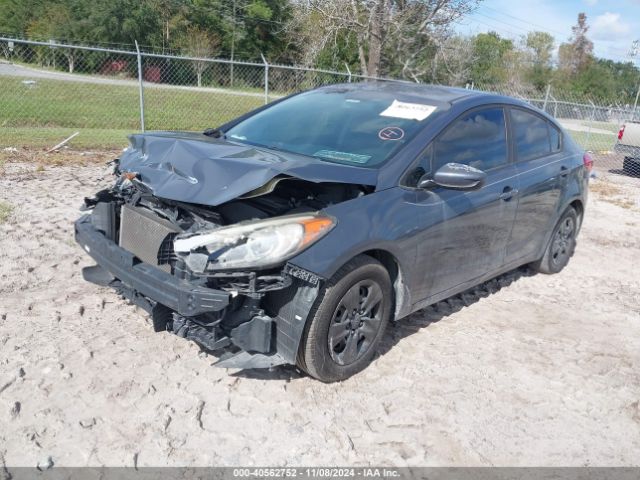 Photo 1 VIN: KNAFK4A66G5572554 - KIA FORTE 