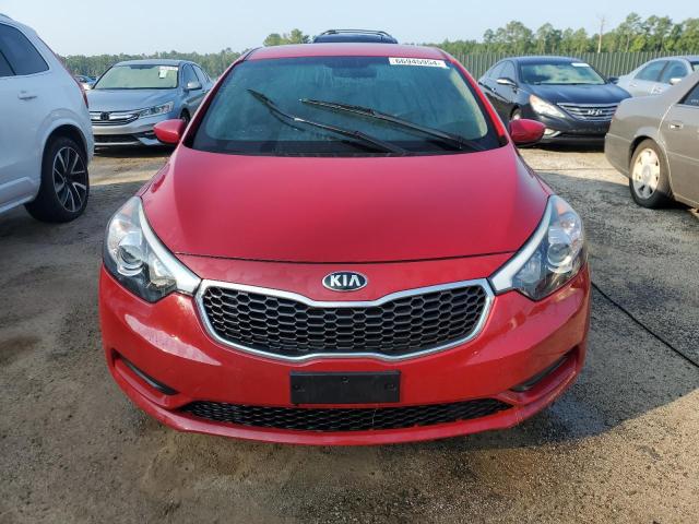 Photo 4 VIN: KNAFK4A66G5613216 - KIA FORTE LX 