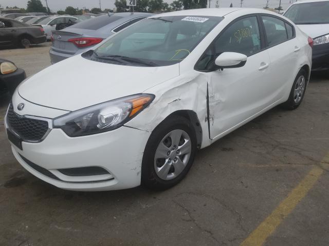 Photo 1 VIN: KNAFK4A66G5615760 - KIA FORTE 