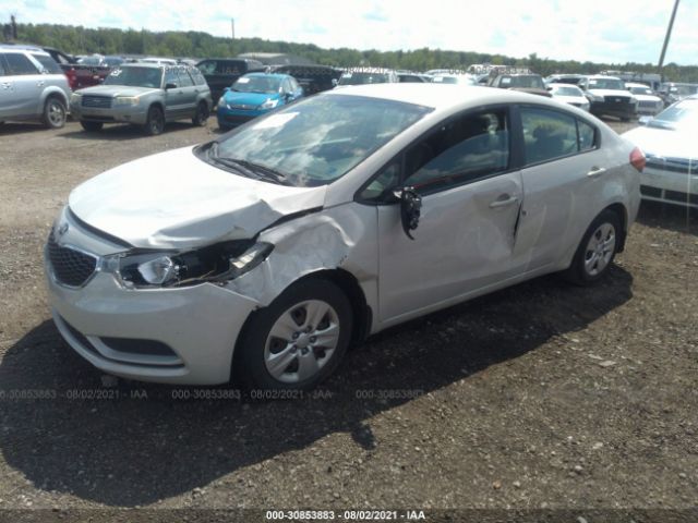 Photo 1 VIN: KNAFK4A67E5153299 - KIA FORTE 