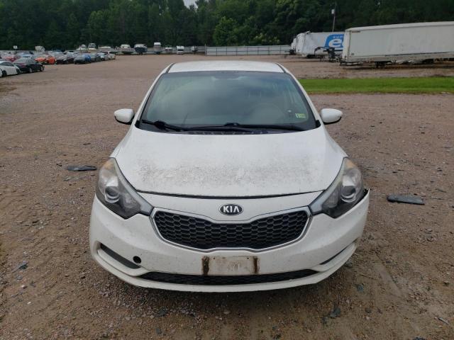 Photo 4 VIN: KNAFK4A67G5485214 - KIA FORTE LX 