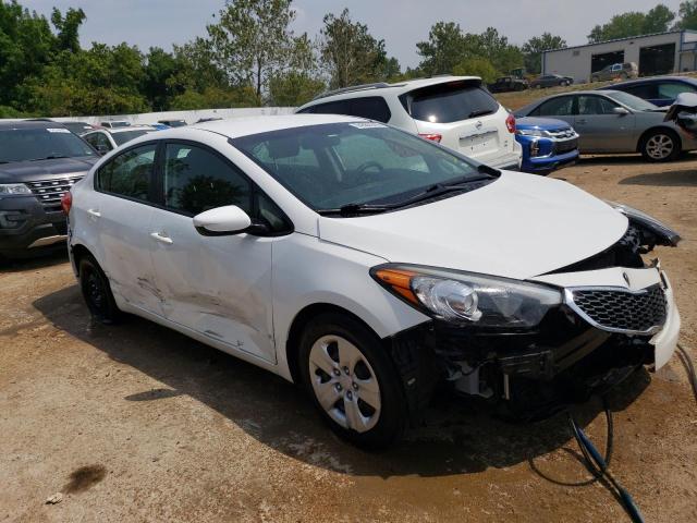 Photo 3 VIN: KNAFK4A67G5496200 - KIA FORTE LX 