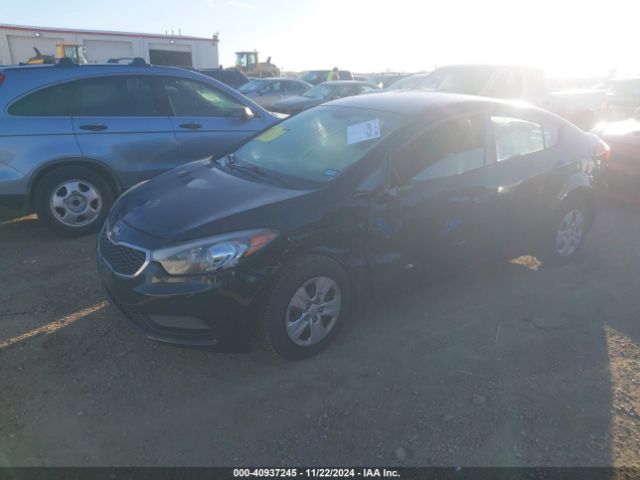 Photo 1 VIN: KNAFK4A67G5538655 - KIA FORTE 