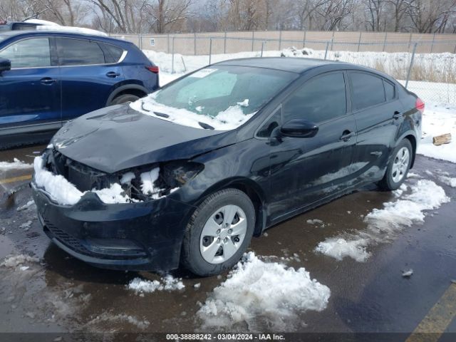 Photo 1 VIN: KNAFK4A67G5615914 - KIA FORTE 