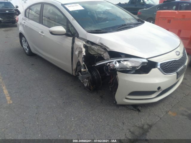 Photo 5 VIN: KNAFK4A68E5163243 - KIA FORTE 