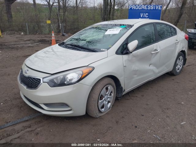 Photo 1 VIN: KNAFK4A68F5291449 - KIA FORTE 