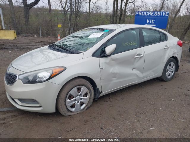 Photo 5 VIN: KNAFK4A68F5291449 - KIA FORTE 