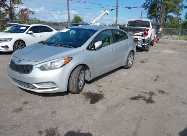 Photo 1 VIN: KNAFK4A68F5329438 - KIA FORTE 