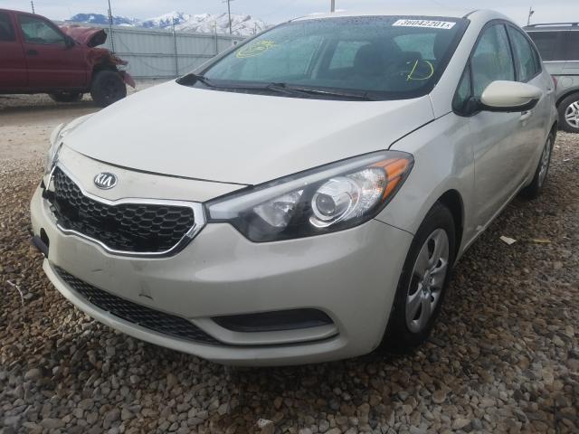 Photo 1 VIN: KNAFK4A68F5407135 - KIA FORTE LX 