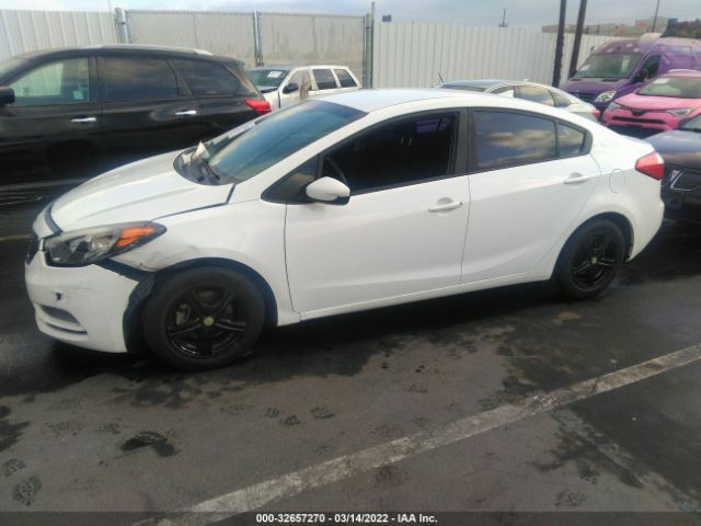 Photo 1 VIN: KNAFK4A68G5449662 - KIA FORTE 