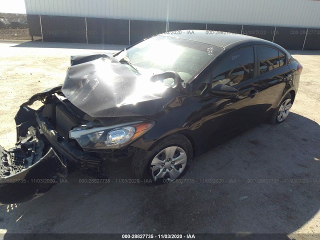 Photo 1 VIN: KNAFK4A68G5566223 - KIA FORTE 