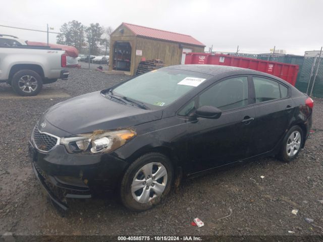 Photo 1 VIN: KNAFK4A68G5569932 - KIA FORTE 