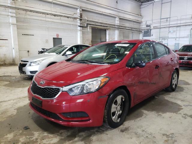 Photo 1 VIN: KNAFK4A68G5597925 - KIA FORTE LX 